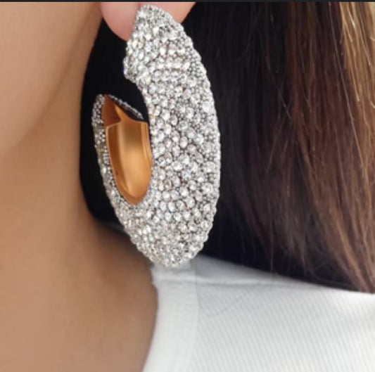 Chunky Crystal Hoop Earrings - Reed House of Jewels
