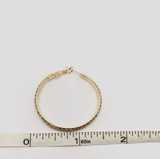 Rhinestone Medium Hoop Earrings - Gold - Reed House of Jewels