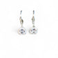 Single Stone Drop Leverback Earrings - Reed House of Jewels