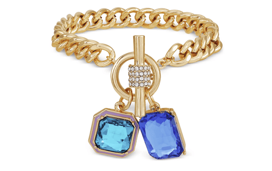 Aqua and Blue Double Stone Charm Toggle Bracelet and Stud Earring Set - Reed House of Jewels