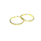 Rhinestone Medium Hoop Earrings - Gold - Reed House of Jewels