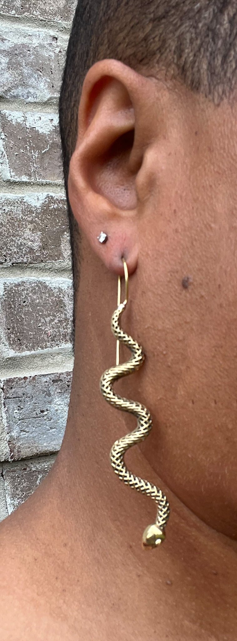 Serpent Brass Earrings - Reed House of Jewels