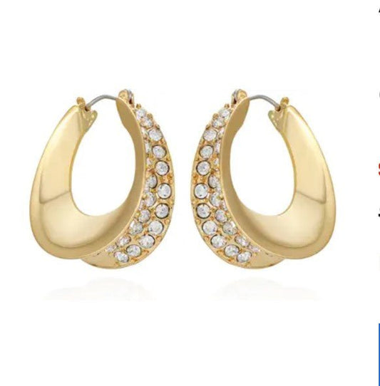 Chunky Crystal Hoop Earrings - Reed House of Jewels